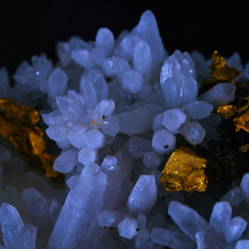 The World is Ending and My Honey is Crystalizing...