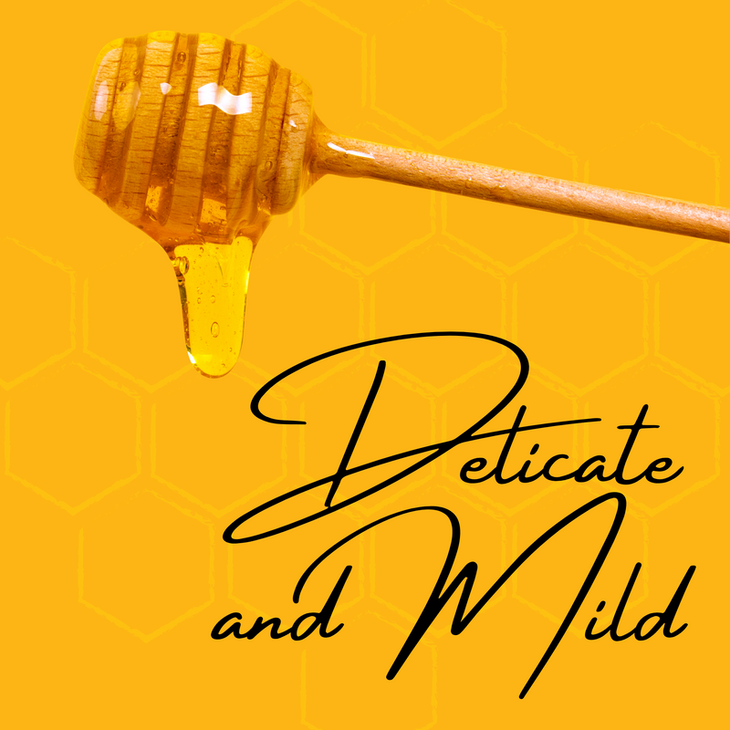 Raw Honey 5 Gallon - FREE SHIPPING
