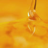 Raw Honey 5 Gallon - FREE SHIPPING