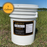 Elderberry Infused Raw Honey (5 Gallon Pail)